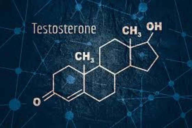 10 Testosterone killers each man should avoid