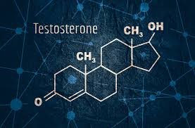 10 Testosterone killers each man should avoid